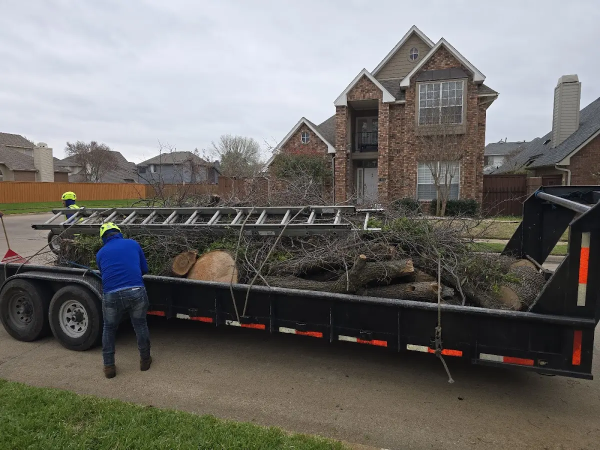 Expert Lot Clearing with proper safety equipment in Wallace